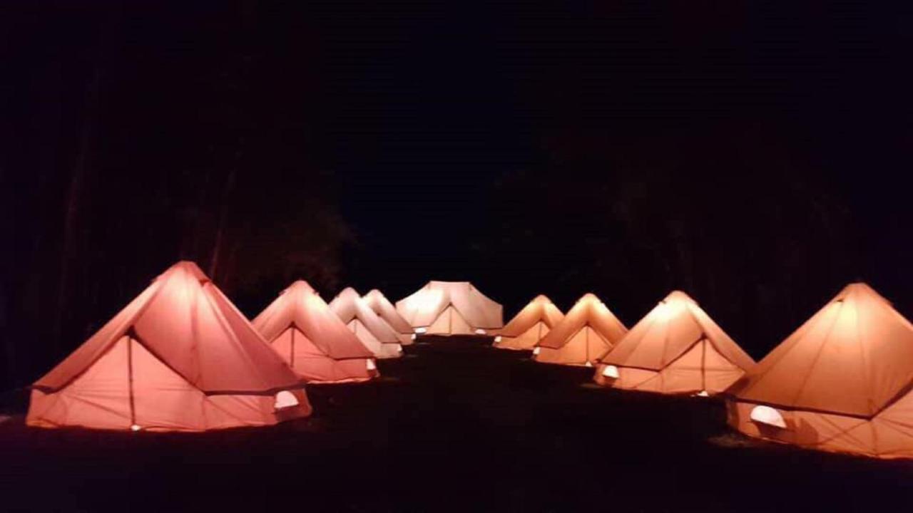 Glamping Finca Margaritas Pluma Hidalgo 외부 사진