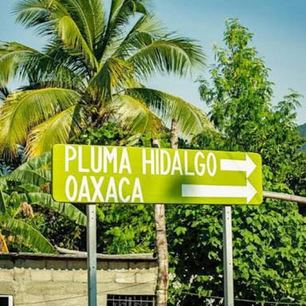 Glamping Finca Margaritas Pluma Hidalgo 외부 사진